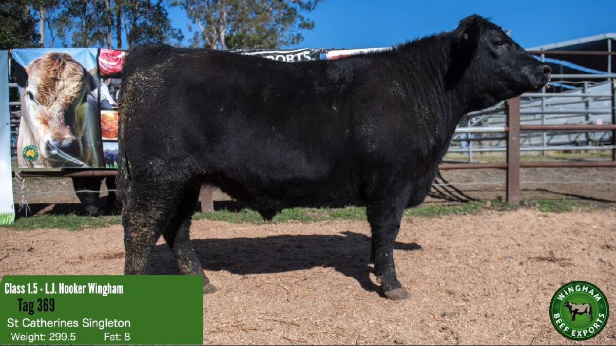 Bruce and Helen Scrivener, Bonnie Brook Angus - exhibiting through St Catherine's College at Singleton - followed up with their reserve carcase win at Sydney Royal to take out the competitive Wingham event with a pure bred milk tooth Angus.