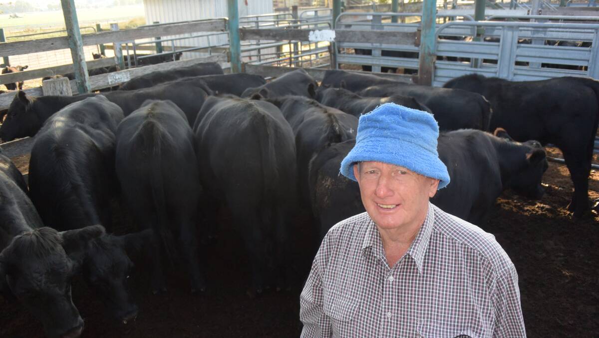 David Marchant, Glen Innes, sold Angus milk tooth steers, 377kg for 283c/kg making $1068 at the Colin say and Co store sale on Friday.