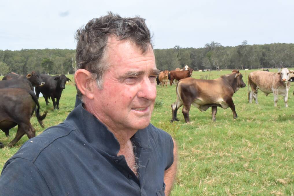 Brian Killmore is the third generation to finish bullocks this parcel of coastal black soil on the lower Macleay.