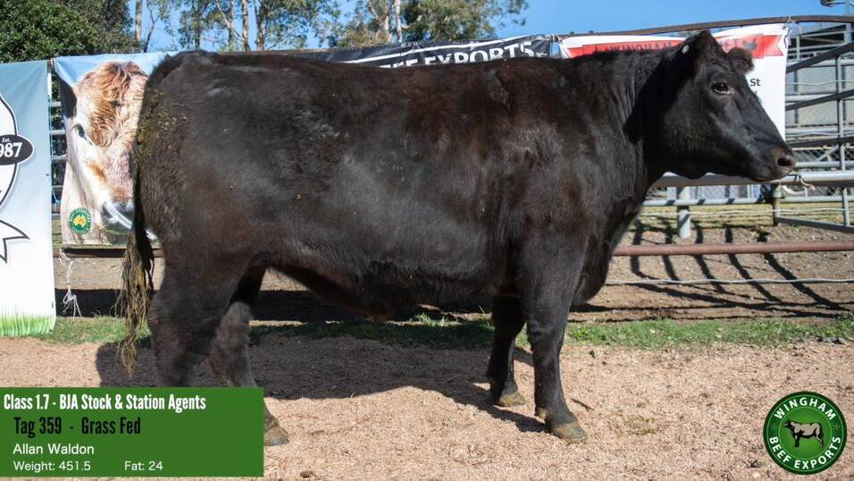 Retired meat producer, retailer and wholesaler Allan Waldon, Bowman River, entered grass fed steers in the competition for the first time and scored top MSA index score of 68.36pts with an eight tooth Angus cross