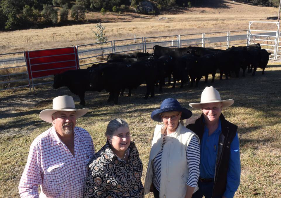 Volume buyers were Tony Roseby and Vonie Griffin, formerly Chinchilla and lately Rowleys River via Cooplacurripa, east of Nowendoc who came away with 14 bulls topping at $12,000 for 21 month old Alumy Creek Micalo M094 by Carabar Wheelwright. They are pictured here with Alumy Creek Angus stud owners Colin Keevers and Lisa Martin, Tenterfield.