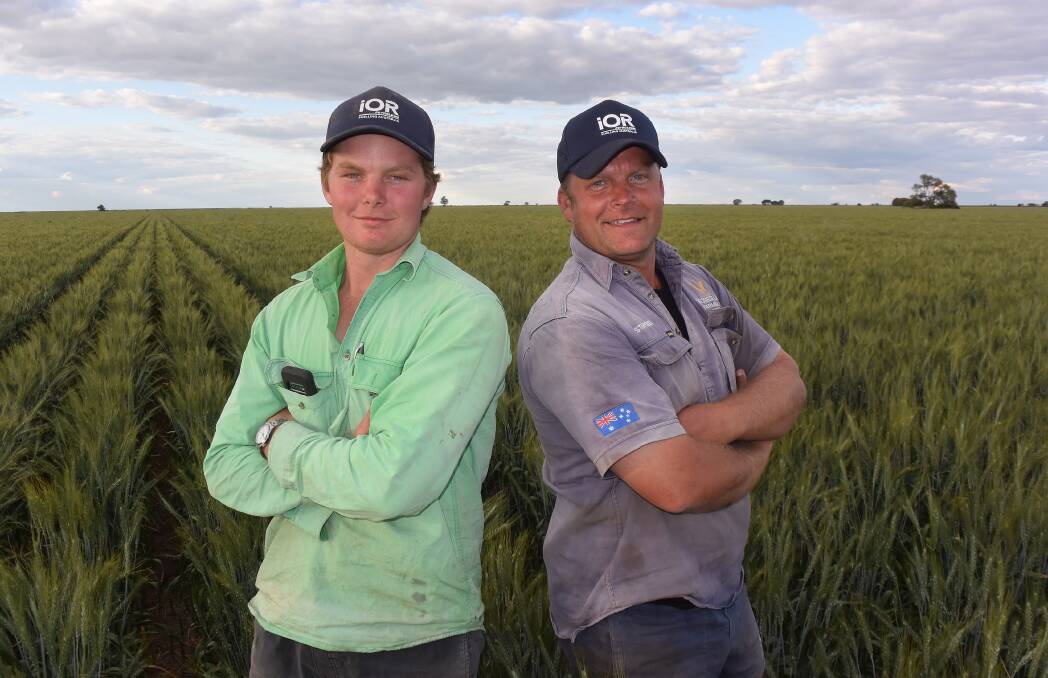 Richard and Stafford Burey, Rosedale Farming at Ashleigh via Garah in a paddock of Lancer wheat may have to be harvested in a tight November window if the rains arrive.