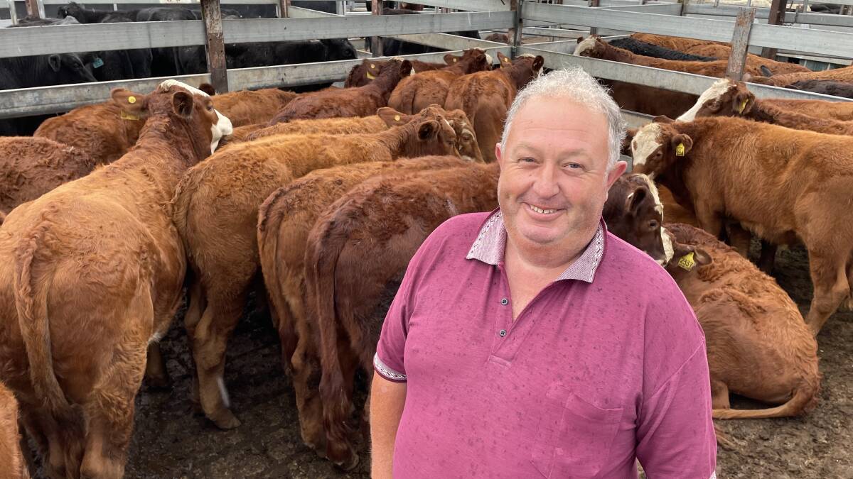 Champion white face Hereford cross by Ironbark bulls from Hanging Rock Station at Cangai fetched 755.2c/kg for 217.5kg or $1642.56 at Grafton on Thursday, pictured with co-manager Merv Ide.