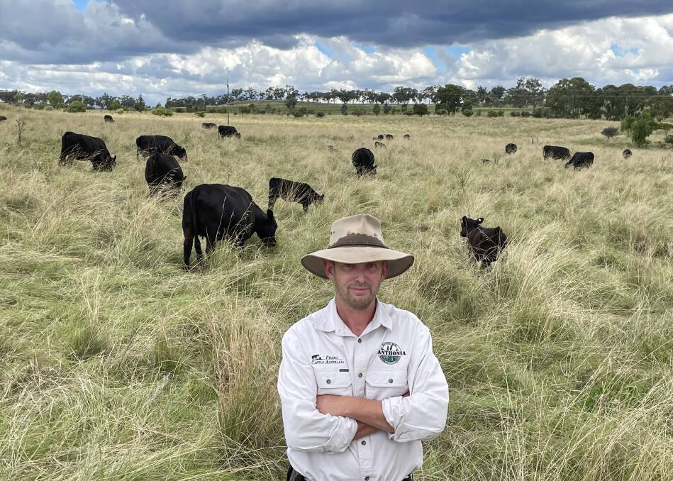 Bruderhof community farm manager Johannes Meier at Danthonia near Inverell with moderate framed Angus cattle on regenerating pasture. Good record-keeping shows an increase in stocking rate.