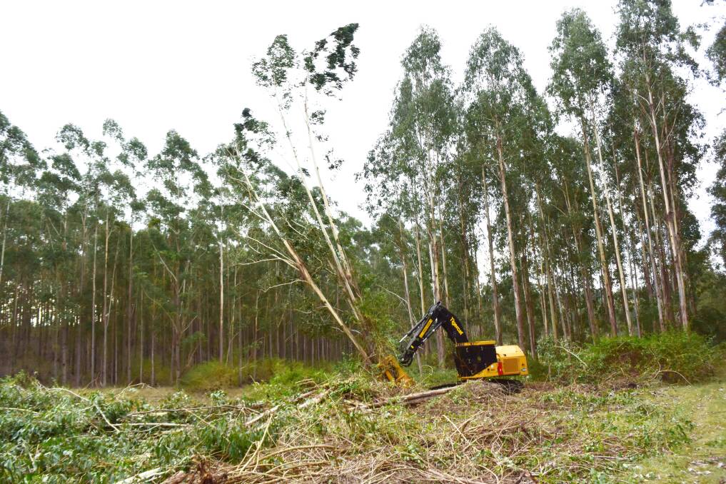 Impact of harvesting equipment on native forestry was debated at Coffs Harbour on Friday during the sixth NSW parliamentary inquiry hearing into sustainable forestry practices. In this photo a harvesting machine clears white gum after a previous failed attempt to grow on-farm forestry. 