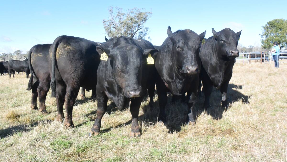 Bio-secure trade with Western Australia has been hampered by "unnecessary" emphasis on Bovine Johnes disease testing regimes say eastern states stud operators.