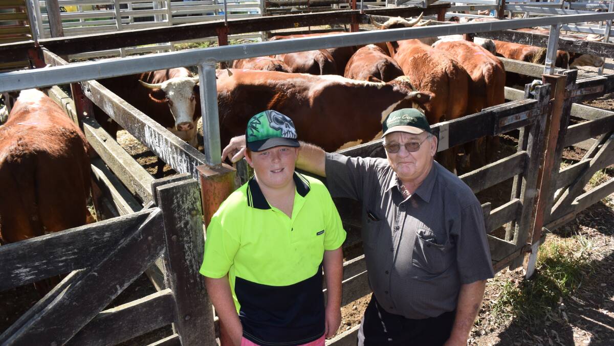 Ray Hillard and grandson Max Latham, Wauchope, with six-tooth Hereford bullocks, $630kg, 238c/kg, $1500, sold to the Killmores, Kinchela.