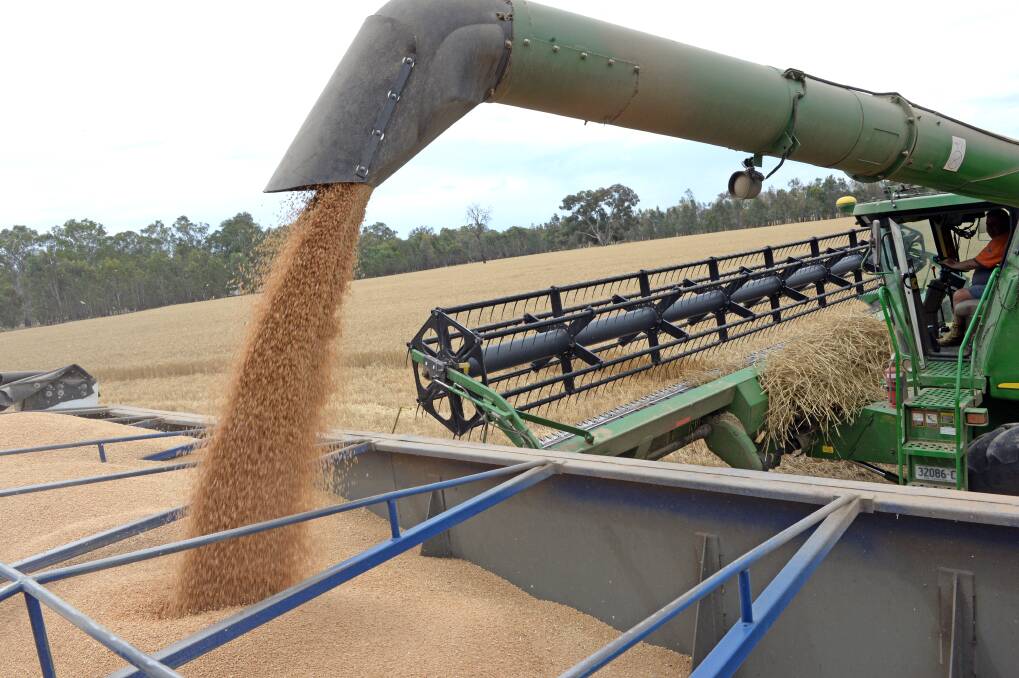 ABARES lowered its forecast for Australia’s 2018/19 wheat crop to 16.9 million tonnes, the smallest in a decade and down from the September forecast.