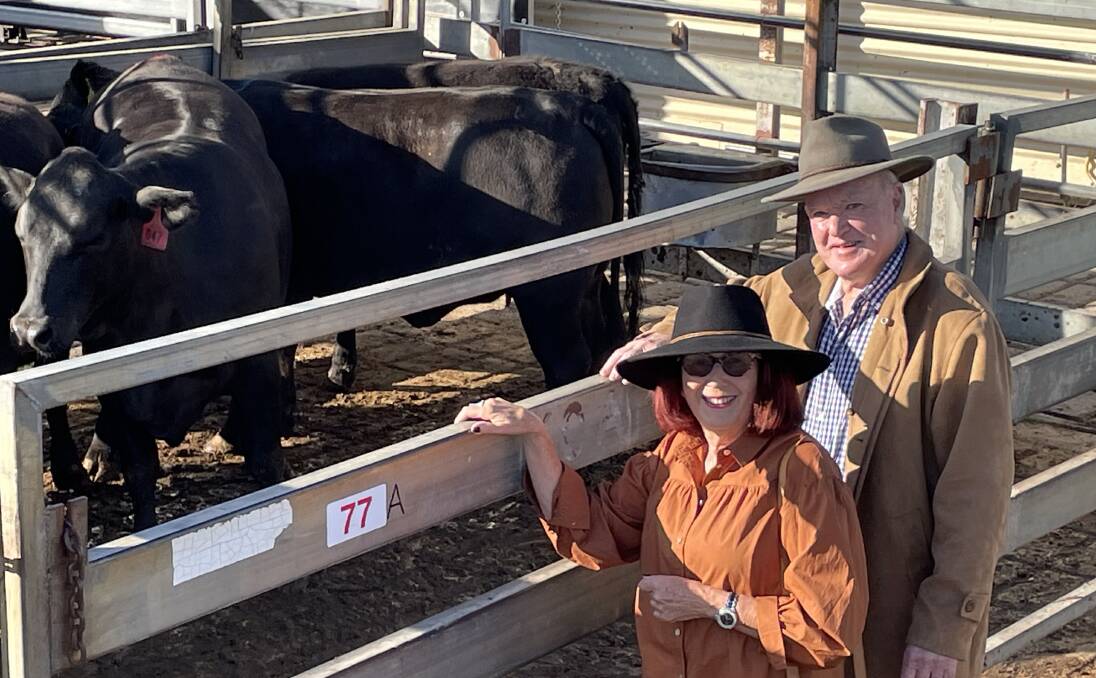 Jacqueline Todd with Robert Charles, Elland, were in the market for quiet heifers in calf at Thursday's Grafton store sale and were fortunate to buy these for $972 a head.