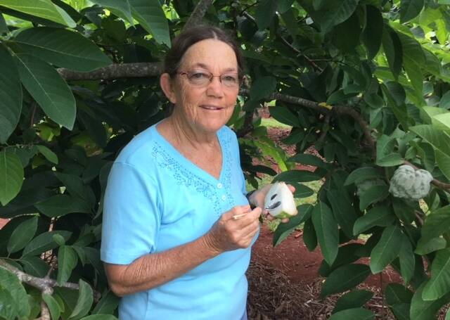 Patti Stacey, OAM, awarded for her volunteer work to progress the Australian custard apple industry.