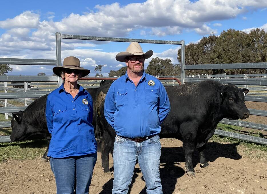 Margaret and Troy Whip, Wallangara Angus stud, Wondoan, Qld with two of their four Inglebrae Farms bulls purchased on Friday.