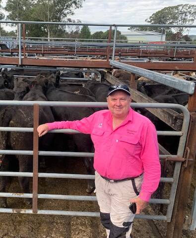 Alan Andrews, Weemilah Heifers sold Knowla-bred Angus PTIC for $3850.