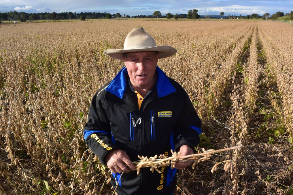 Bruce Green, Lawrence via Grafton in a paddock of Hayman variety soybeans that harvested five tonnes to the hectare. The lower Clarence has enjoyed one of the better seasons for beans planted mid December.