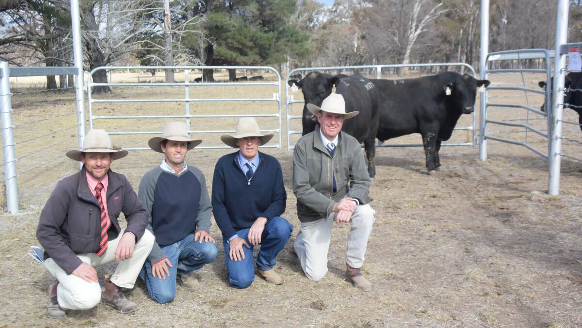 Volume buyer and repeat client Stuart Grills, Guyra, with Elders Armidale agent Paul Harris, stud principal Andrew White and auctioneer Paul Dooley.