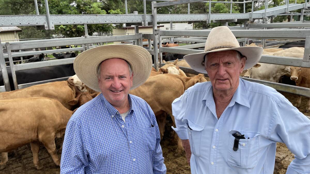 Casino-based commission buyers John Dougherty and Kevin Flack with the best pen of weaner heifers as judged at Tuesday's Grafton weaner sale, produced by Mark and Michelle Donaldson, Yeomans Pastoral, Nymboida, making 294c/kg for 265kg or $779.