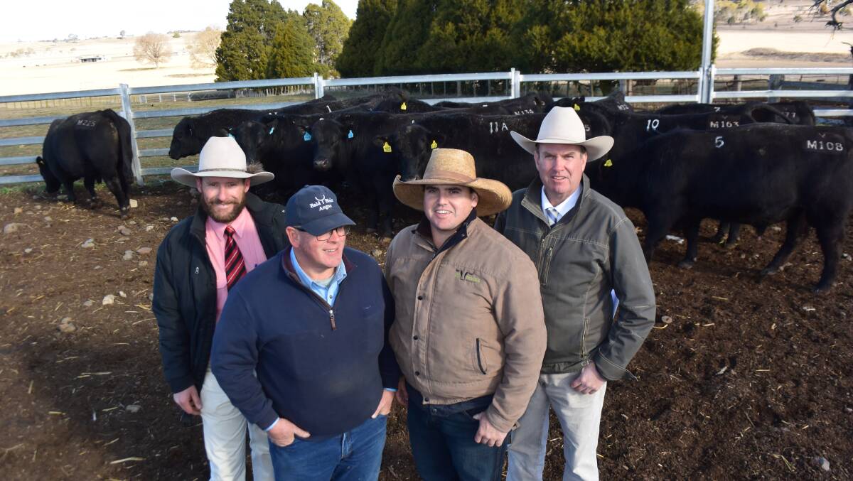 Elders Armidale manager Paul Harris, Bald Blair stud principal Sam White, Alex Dodson of Hourne and Bishop, Moura Qld, on behalf of volume buyers the Simmons family,  Clermont Qld, with auctioneer Paul Dooley.