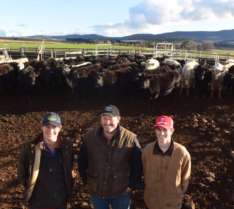 Mitchell, Alan and Austin Scrivener with cows in the yard at Yarrowitch. Pictured below is Alan Scrivener in the chiller at Wingham Beef Exports. Photo: Supplied