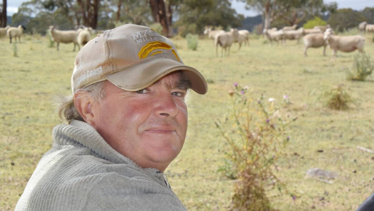 Kevin Feakins, Camlea Station, Glencoe, imported his interest in continental meat sheep from England a decade ago. At the time there was little awareness in Australia but now export demand calls for a sensational sucker.