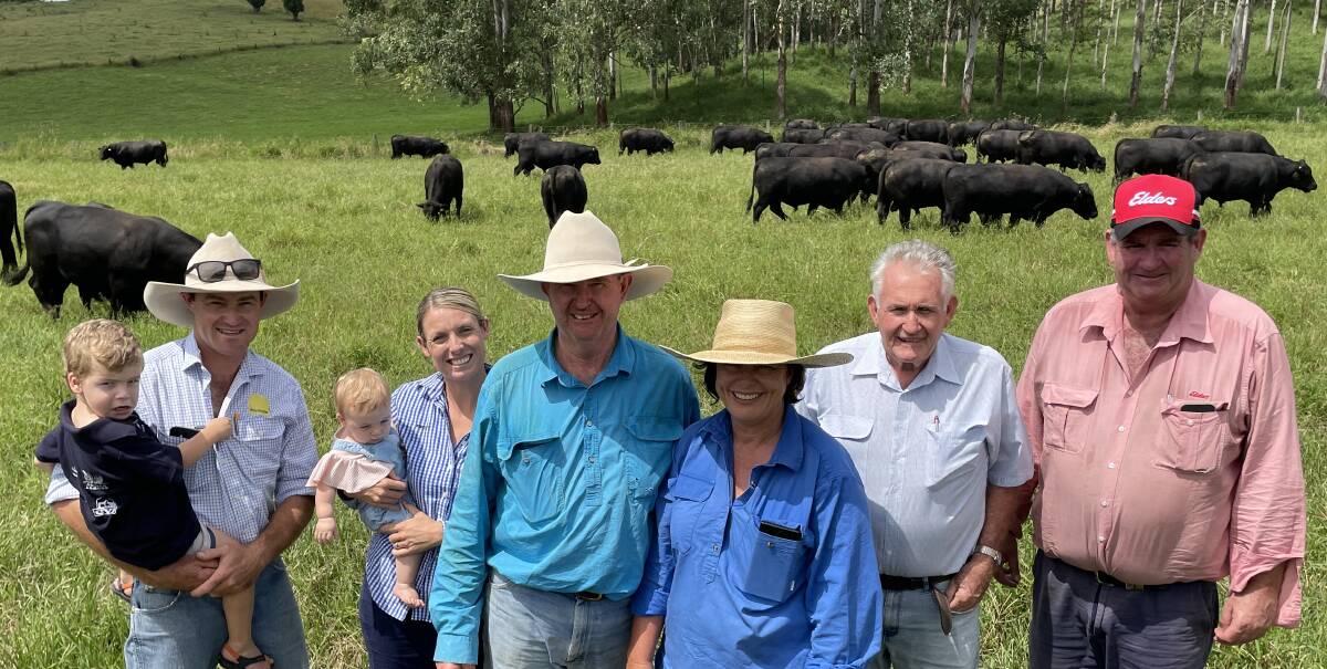 Murray and Nicole Nicholls, Tookawhile at Roseberry Creek with the Sawtell family, Lindesay View Limousins - Josh and Kirsty with Spencer and Bonnie - with John and Rodney Gibson, Medlyn Angus with some Medlyn bulls on pasture.