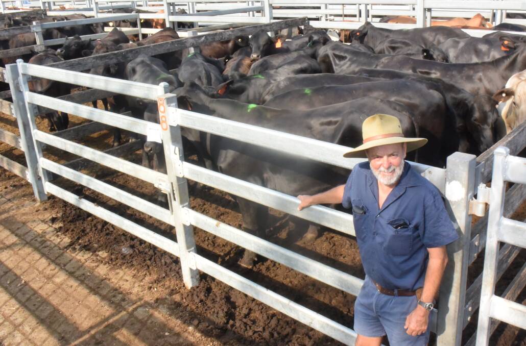 Peter James bred these two tooth Angus steers, 387kg, at Yarravel using Kogo bulls and grew them out next to the coast on leased country at Yarrahapinni, making 288c/kg or $1114, going to Goondiwindi.