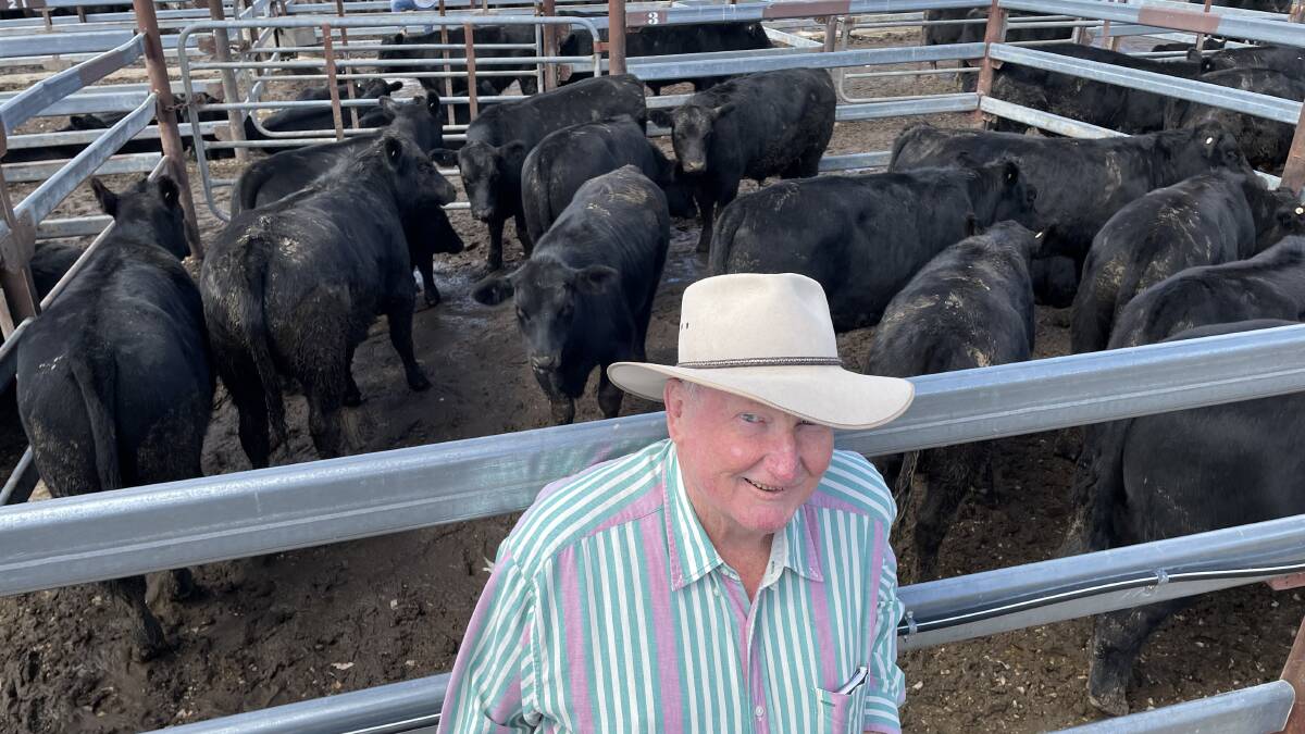 Geoff Robertson, Boonoo Boonoo, sold Angus steers with Sara Park blood, 345kg, for 415c/kg or $1431.75 at Tenterfield on Thursday.