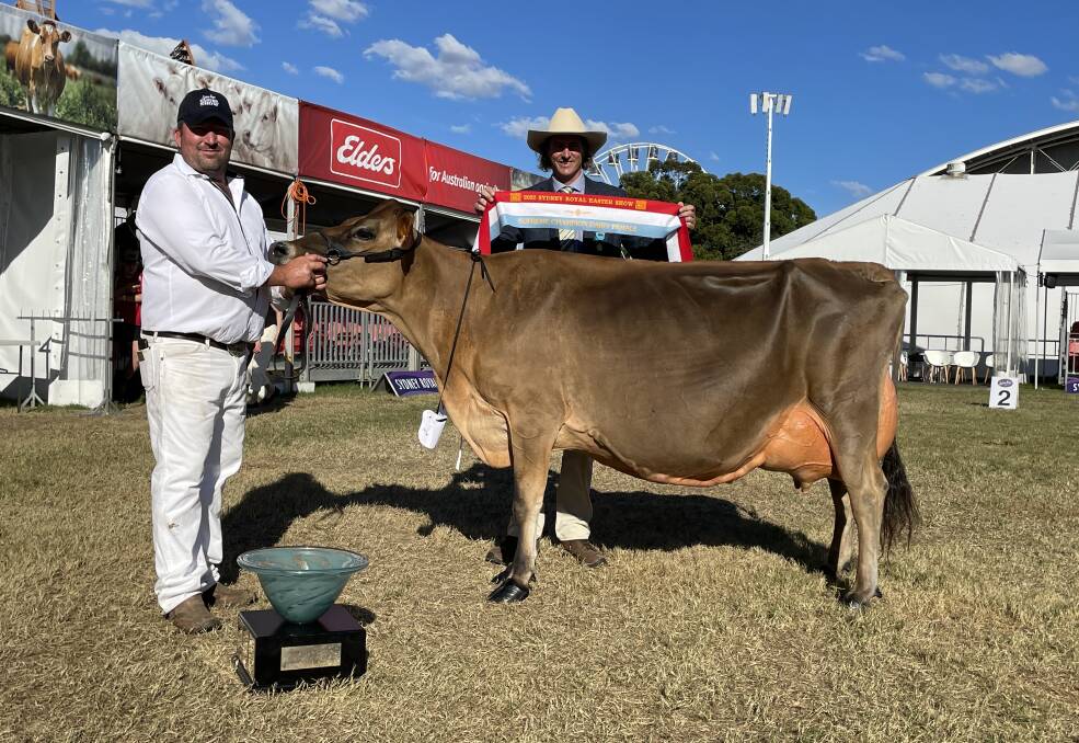 Sydney Royal supreme champion dairy female Bushlea Irwins Jenny with exhibitor Rocky Allen, Cobargo, and Michael MacCue, RAS dairy committee.