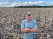 Multi-generational sugar cane producer Ross Farlow, Maclean, in a paddock of one-year old flood-affected crop.