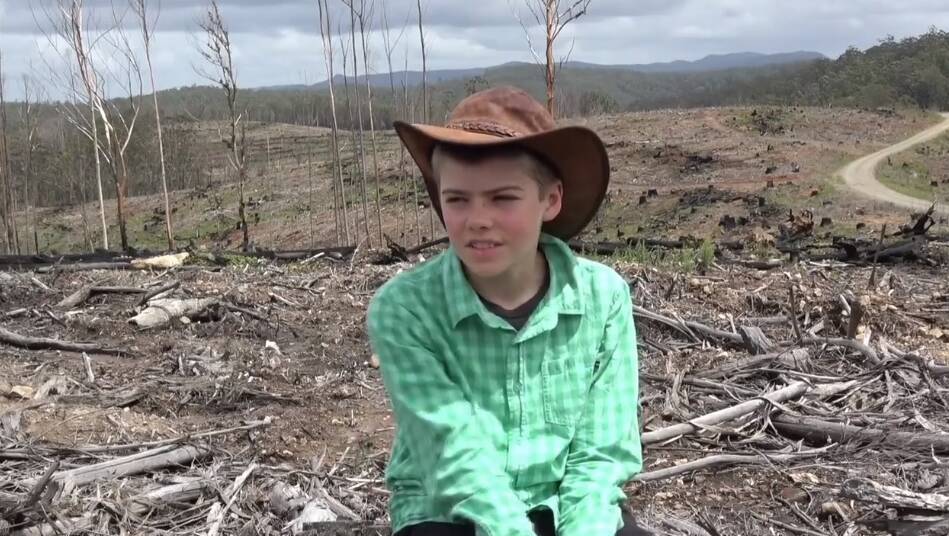 Young Hastings Valley resident “Morrow”, Pappinbarra, has even created a Facebook following by drawing attention to the plight of coastal hardwood forests.