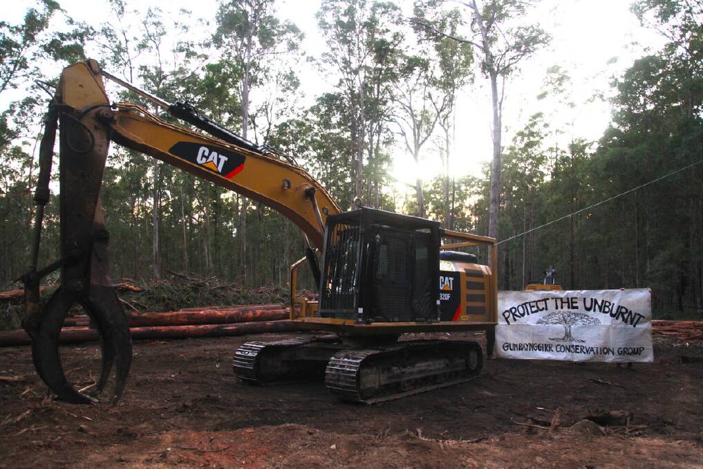 Native hardwood logging on the NSW coast has been the target of anti-logging campaigns after breaches of strict harvest code.