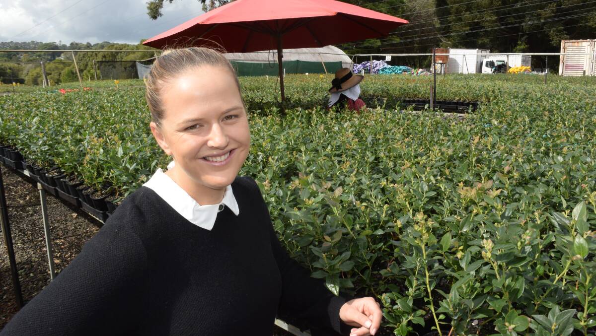Growing a brand on trust pays when things go bad, says Natalie Bell, Wollongbar. She helps lead one of Australia’s largest blueberry operations, Mountain Blue.