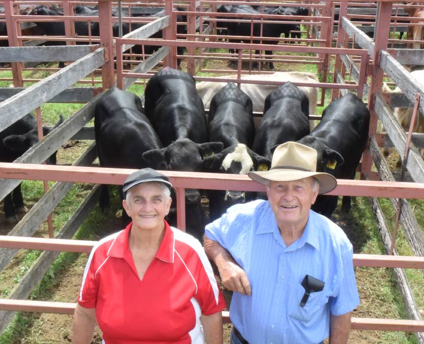 Margaret and Barry Johnstone, Yonda, at Gilgurry on the Boonoo Boonoo River, sold these Angus cross steers for their son Bruce, making $1373. Their own steers sold to the top cents a kilo price of 514c/kg.