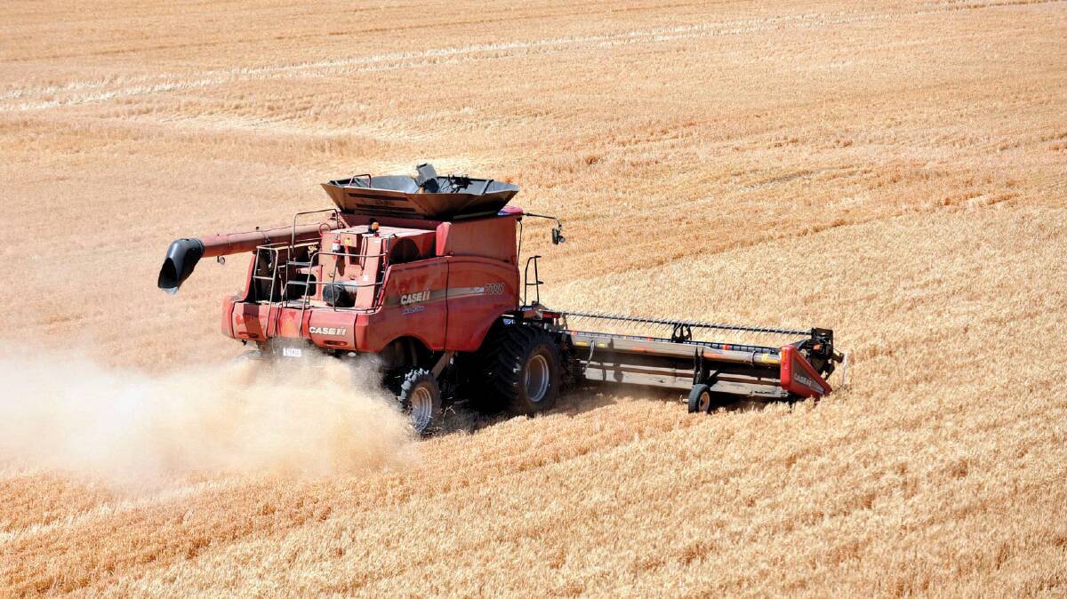NSW Farmers members concerned about labour shortage for harvest. Photo: Farm Weekly
