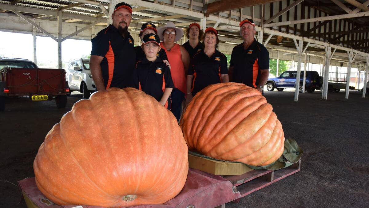 The Frohloff family, Minden west of Ipswich, Qld, with two giant pumpkins, 316kg and 283kg, grown by father and son team Geoff and Tony. Jordon, in the back, won heaviest junior pumpkin weighing 36.4kg. Geoff also topped the watermelon category with one weighing 80.5kg!