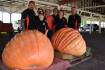 Giant pumpkins weigh-in for a crack at the North Coast title