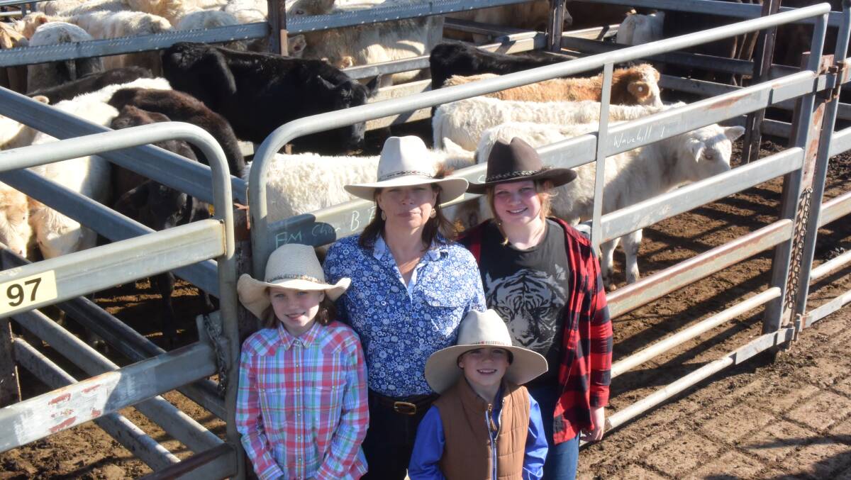 Simone Wills, Upper Orara, and her children Tayla, Aiden and Jorjaat the Grafton store sale on Thursday to look for cows and calves, which were in sort supply. They are next to a pen of Charbray from Brian Fahey, Ramornie.