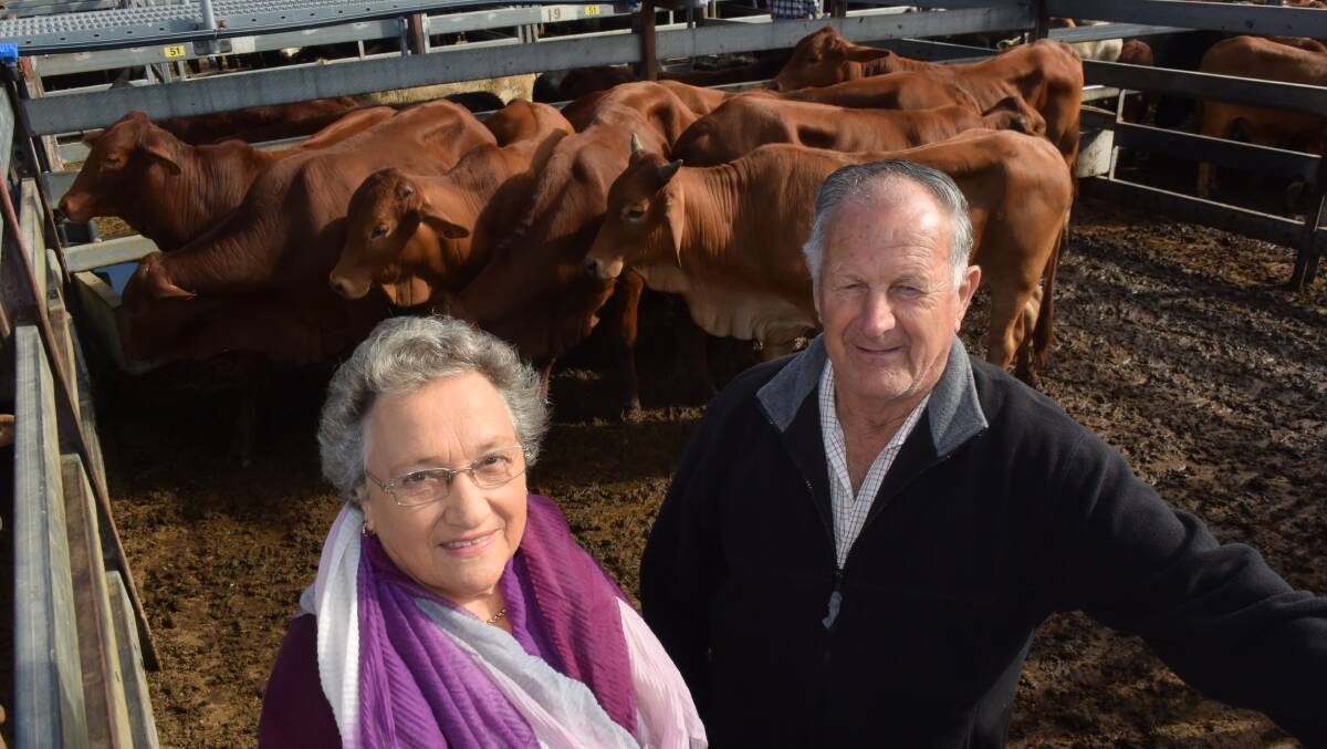 Peter and Glenda Ballard, Copmanhurst, sold Droughtmaster steers, 265kg at 238c/kg to bring $631.