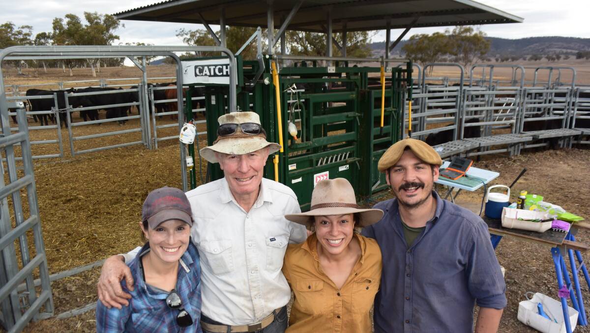 Mellissa, Mike and Sabrina Lomax with Juan Molfino taking a break from marking calves at Werris Creek via Tamworth. Pain relief at castration is proving profitable as well as ethical.