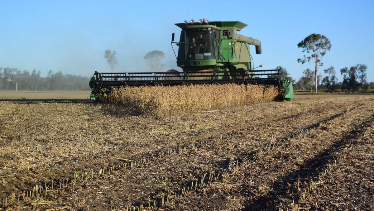 Soybean grower Paul Fleming harvest the last of a paddock containing Azgrow near Codrington on the Richmond River. The season has been tremendous with best prices in a decade.