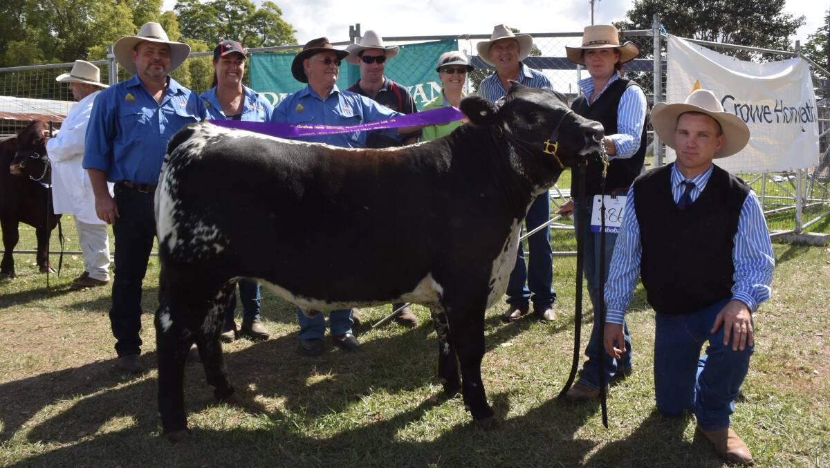 The best showing in many arenas for many years made this year's 150th Grafton show a great success.