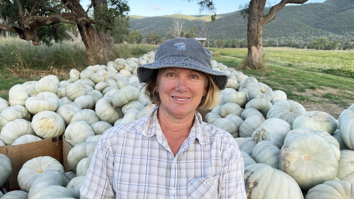 Bianca Zappa, Dumaresq Valley, with a load of Sampson pumpkins for market. Some will go to Sydney Royal show.
