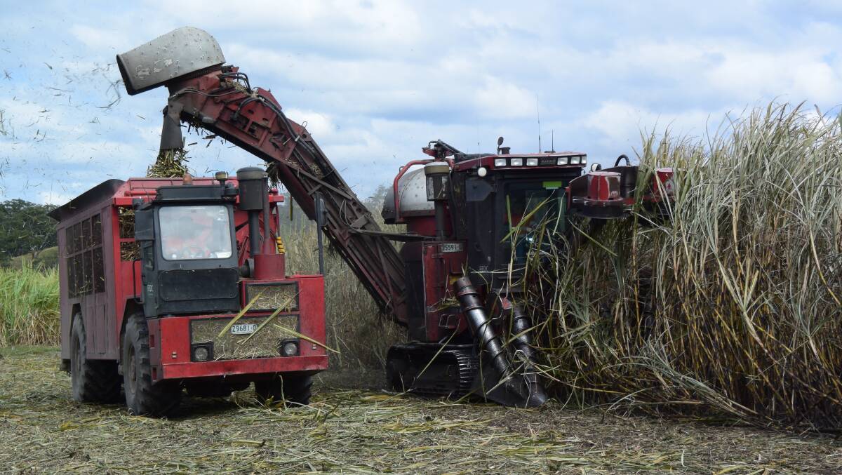 A drought-depleted sugar cane crushing season, unlike the one pictured in 2016, will begin next week for harvest gangs on the Clarence, Richmond and Tweed river valleys.