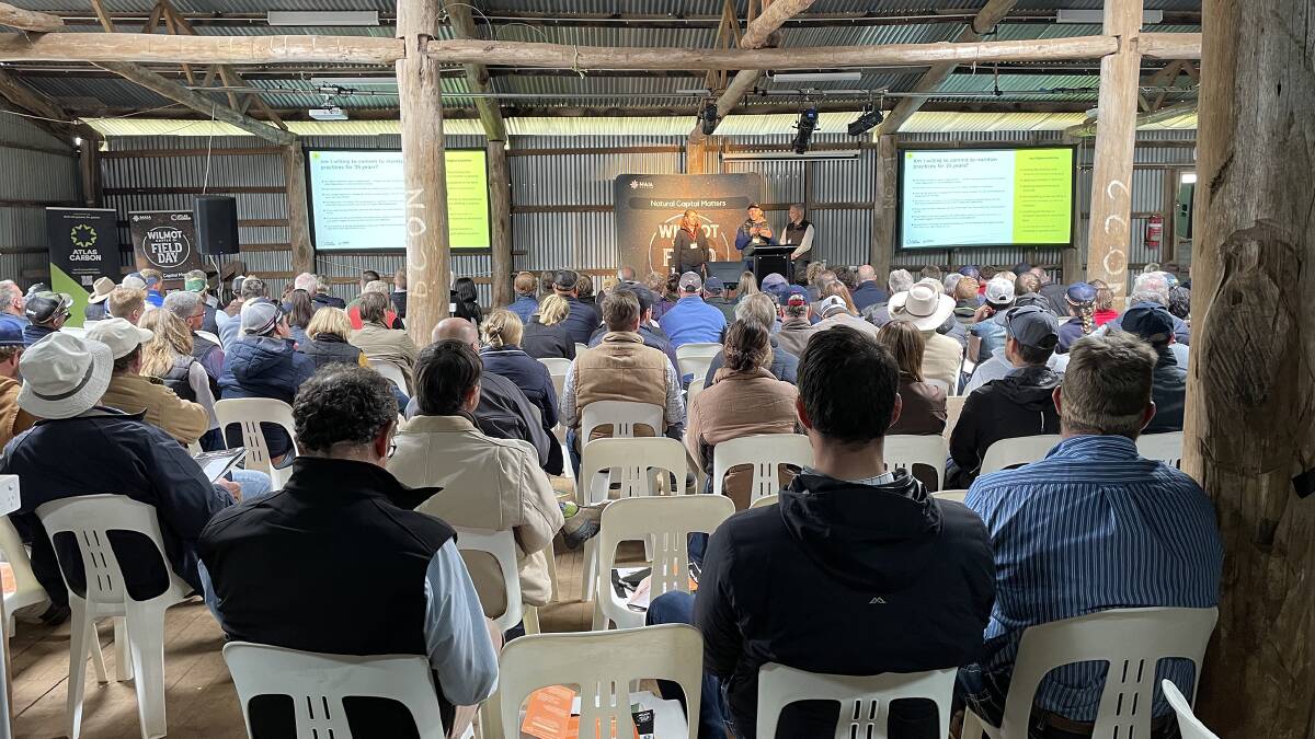 Seats were few and far between at this week's Wilmot Field Days, the fifth event held inside the property's old woolshed at Hernani.