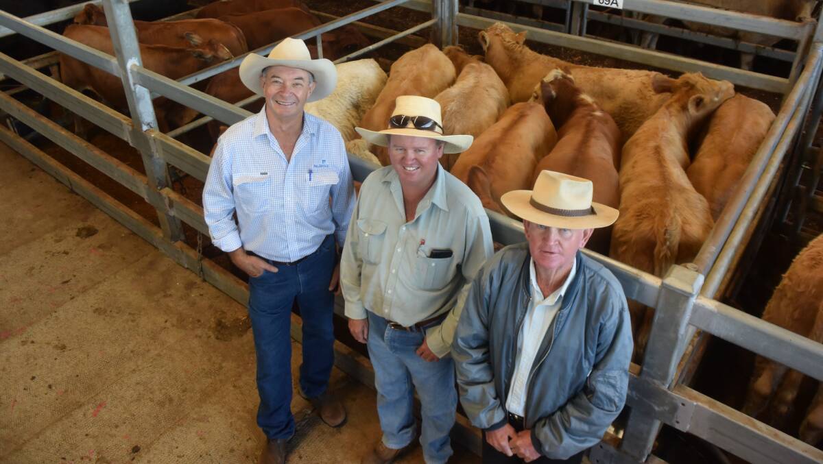 Palgrove Charolais studmaster David Bondfield with Stephen and Paul Boland, East Coraki, and their overall champion pen of Charolais/Hereford weaner steers 444kg at 500c/or $2220 at Casino on Thursday.