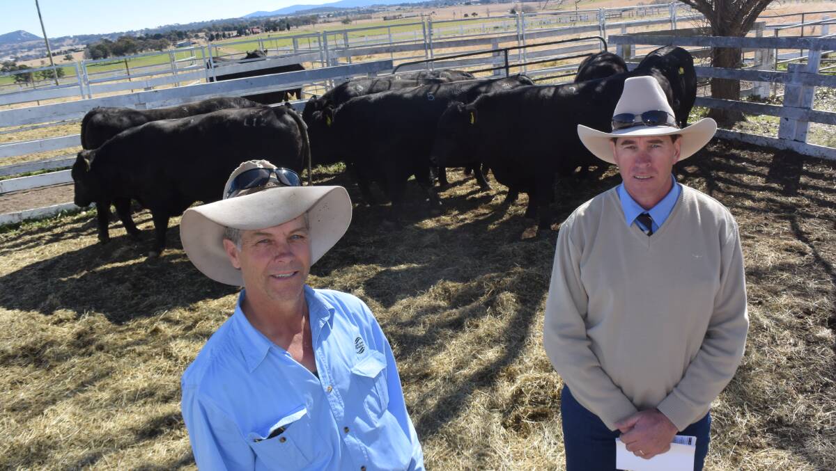 Volume buyer Trevor McKenna, livestock manager with Super Forest Plantations, Lismore, with Inglebrae Farms manager Darren Battistuzzi after the combined Medlyn and Inglebrae Angus sale at Tenterfield on Saturday. In the past this industry-seasoned pair worked alongside each other at the Northern Co-operative Meat company.