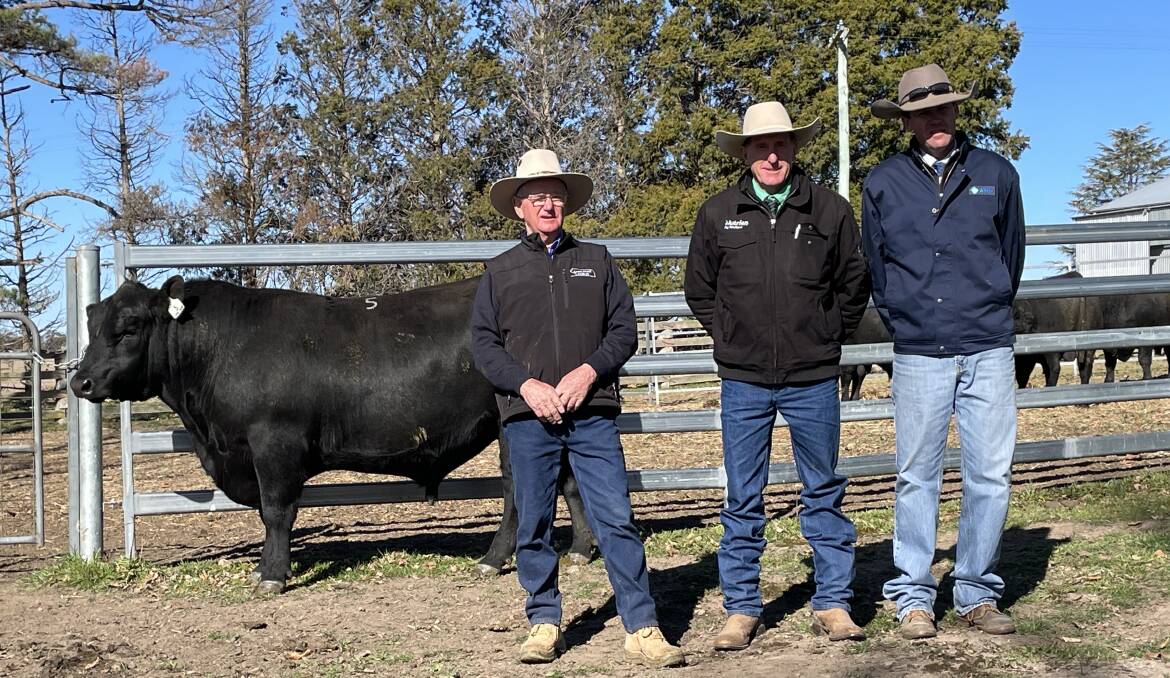 Top priced sire Sara Park snoop S53 with Sara Park stud principal Herb Duddy, agent Brad Newsome from Nutrien Livestock and Auctioneer Robbie Bloch, AWN Squires.