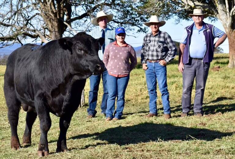 Top selling Angus bull bred by Greg and Kayla Tyler, Tyringham, with Coffs Harbour Hardwoods manager Allan Sinclair and owner Bill McCarthy. Photo: Supplied