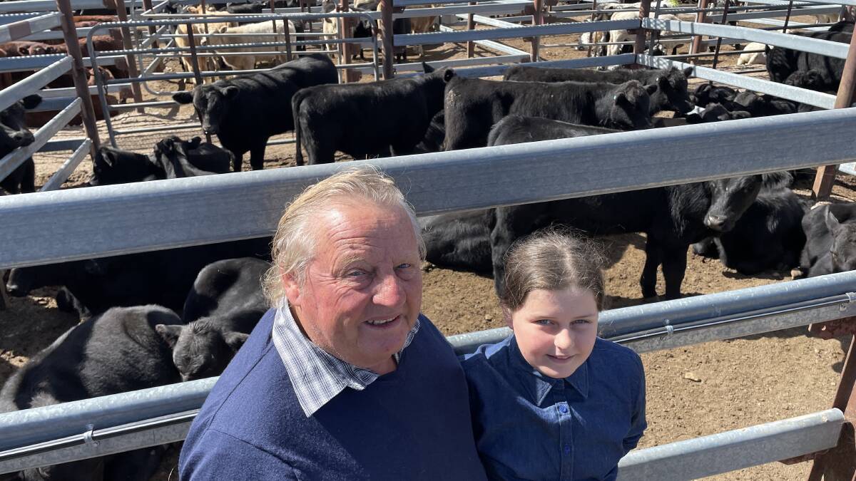 Wayne Halliday, Sandy Flat, with his grand-daughter Emelia, and their Angus and Simmental cross steers 226kg that made 394c/kg or $890. The calves' sisters brought 206kg at 298c/kg or $613.