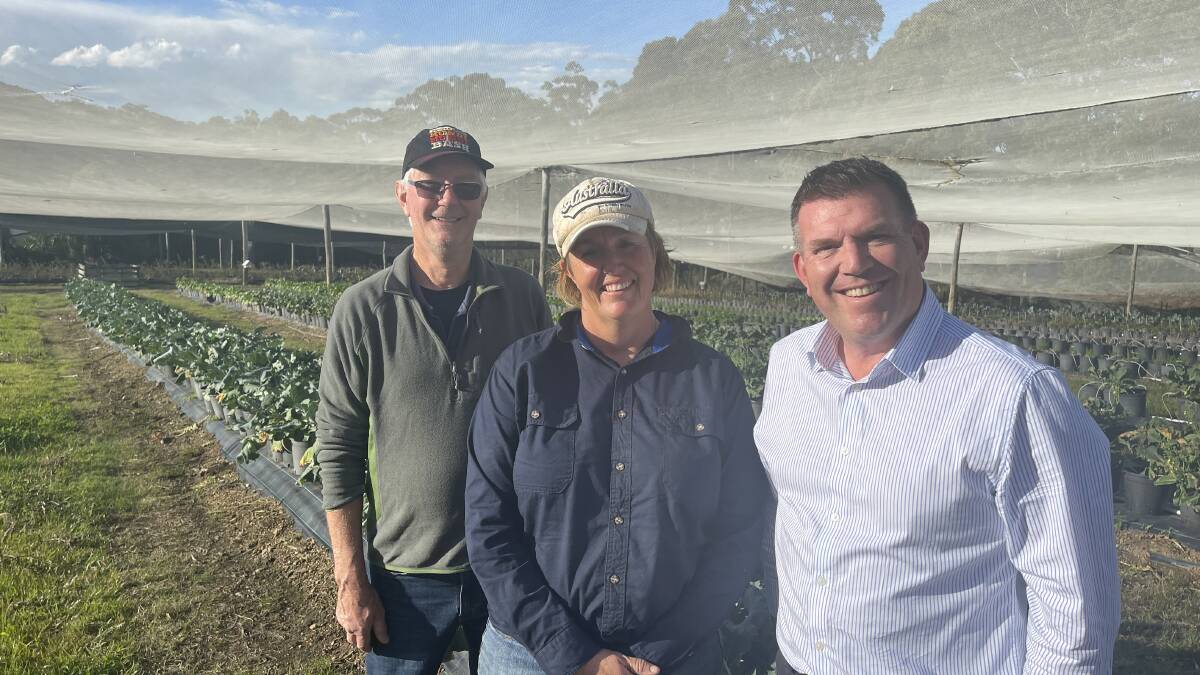 NSW agricultural minister Dugald Saunders talks pollination with Coffs Harbour horticulturalists Kellie Pots and Nigel McIvor. Photo: Supplied