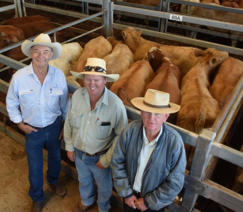 David Bondfield, Dalveen, Qld, with Stephen and Paul Boland, East Coraki, and their champion steers 444kg, $2220/hd Charolais/Herefords, at Casino.