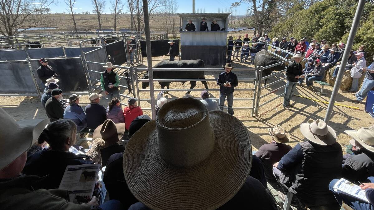Sara Park Snoop sold to $25,000 in front of a large crowd at Pinkett on Friday.